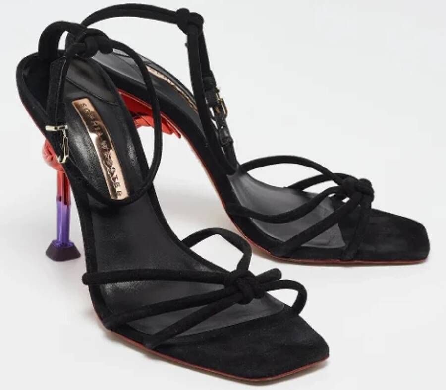 Sophia Webster Pre-owned Suede sandals Black Dames