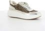 Steve Madden Bruine Double Take Damesschoenen Beige Dames - Thumbnail 2