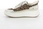 Steve Madden Bruine Double Take Damesschoenen Beige Dames - Thumbnail 4