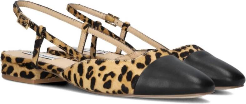 Steve Madden Zwarte Belinda-l Hakken Brown Dames