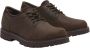 Timberland Waterdichte Heren Britton Road Schoenen Brown Heren - Thumbnail 3