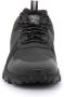 Timberland Zwarte Winsor Trail Lage Sneakers Black Heren - Thumbnail 5