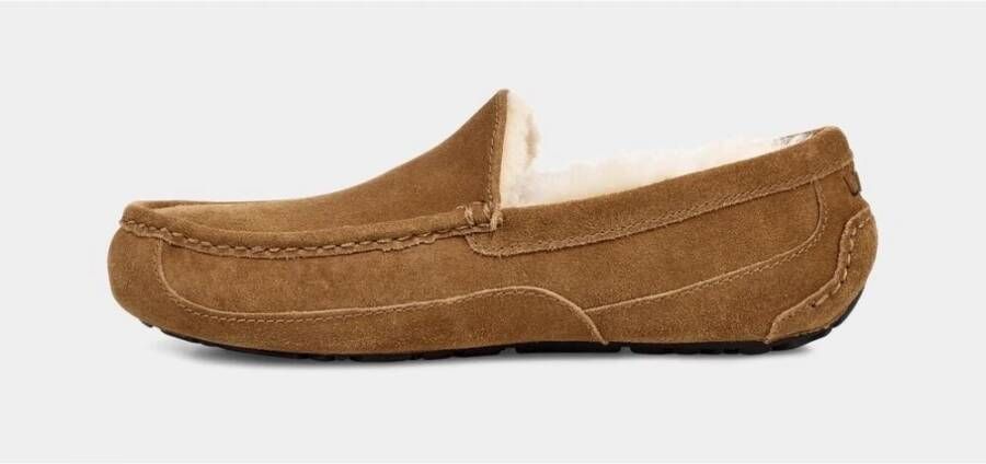 Ugg Ascot Slippers Bruin Heren