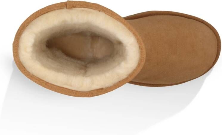 Ugg Klassieke Korte Laarzen Brown Heren