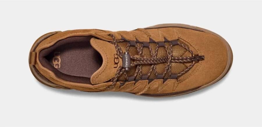 Ugg Lage Sneakers in Cognac Brown Heren