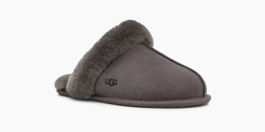 Ugg Slippers Grijs Dames