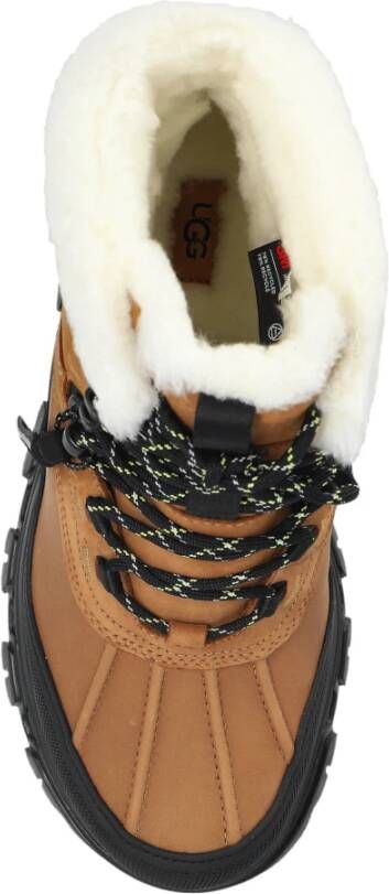 Ugg Sneeuwlaarzen Adirondack Meridan Hiker Brown Dames