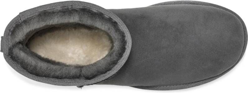 Ugg Winterlaarzen Grijs Heren