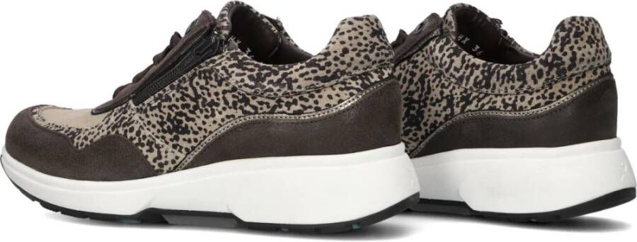 Xsensible Bruine Lage Sneakers Dames 30204.2 Brown Dames