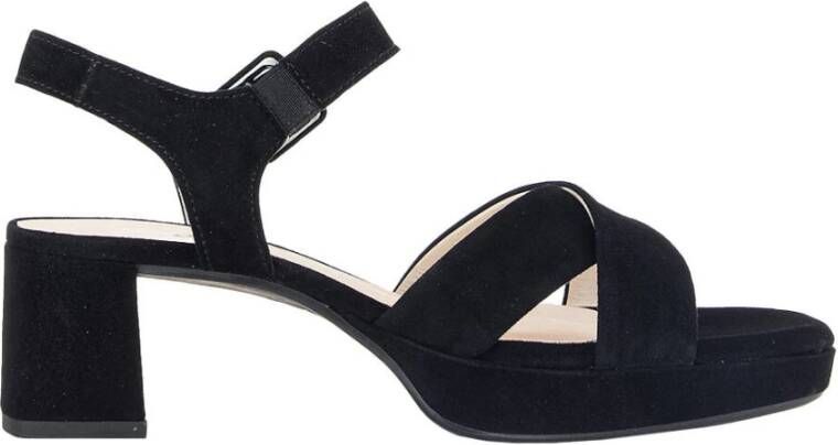 Gabor Hak Sandalen Samtchevreau Stijl Black Dames