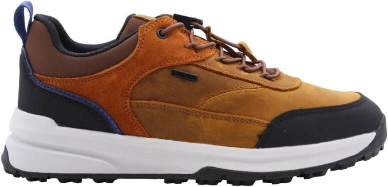 Geox Kummel Sneaker Multicolor Heren