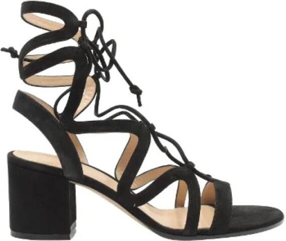 Gianvito Rossi Pre-owned Suede sandals Black Dames