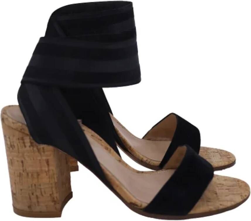 Gianvito Rossi Pre-owned Suede sandals Black Dames