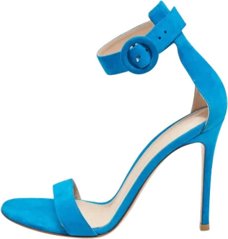 Gianvito Rossi Pre-owned Suede sandals Blue Dames