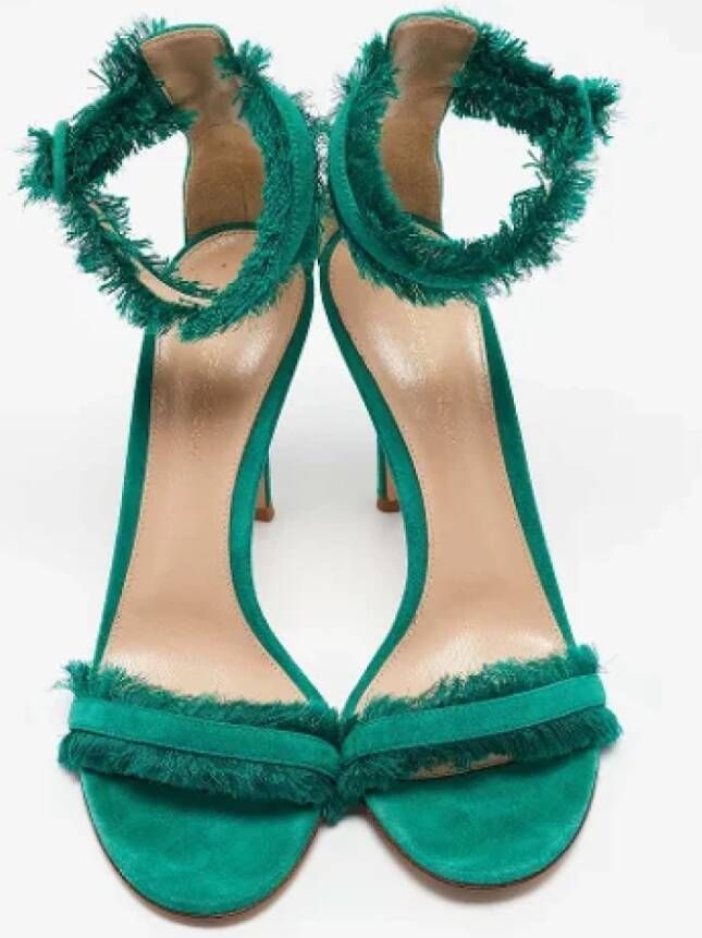 Gianvito Rossi Pre-owned Suede sandals Green Dames