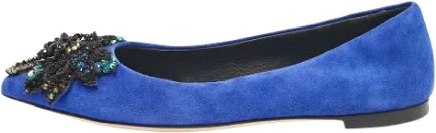 Giuseppe Zanotti Pre-owned Suede flats Blue Dames