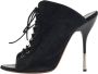 Giuseppe Zanotti Pre-owned Suede sandals Black Dames - Thumbnail 1