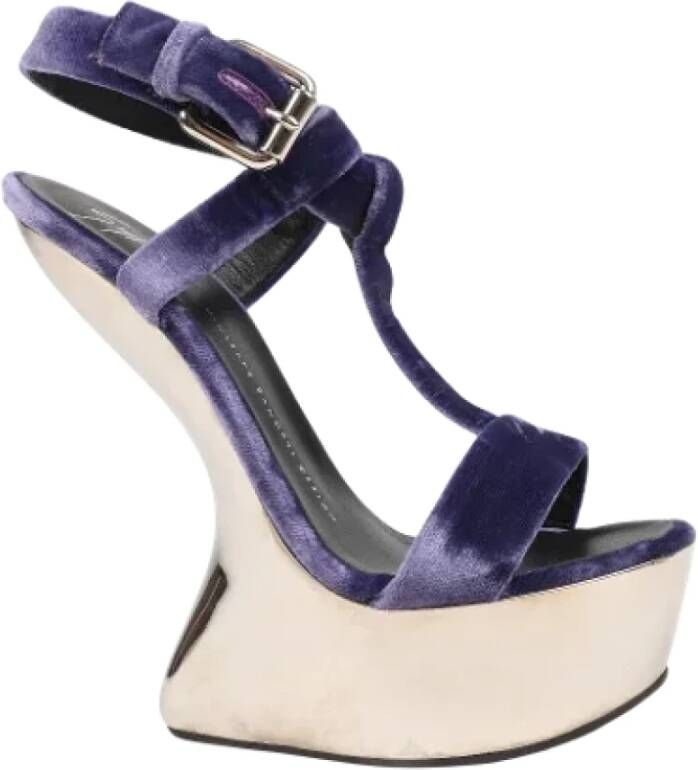 Giuseppe Zanotti Pre-owned Suede sandals Purple Dames