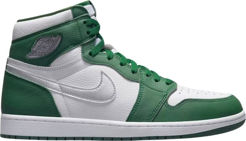 Nike Limited Edition Gorge Green Retro High Multicolor Heren