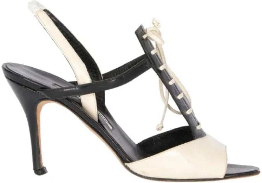 Manolo Blahnik Pre-owned Leather sandals Multicolor Dames