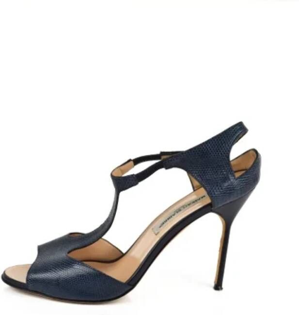 Manolo Blahnik Pre-owned Sandalen Blue Dames