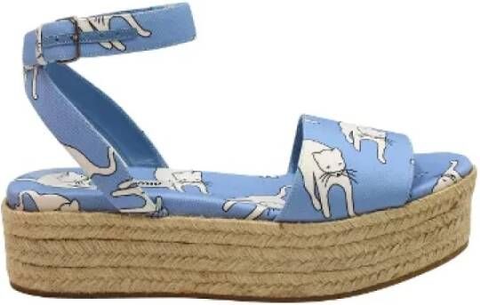 Miu Pre-owned Canvas sandals Blue Dames