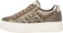 Nerogiardini Bruine Leren Sneakers Platform Rits Sluiting Brown Dames - Thumbnail 14