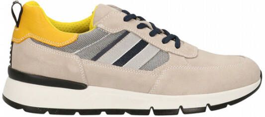 Nerogiardini Lage Sneakers Multicolor Heren