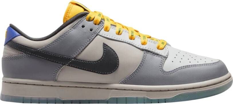 Nike Beperkte oplage Dunk Low North Carolina A&T Multicolor Heren