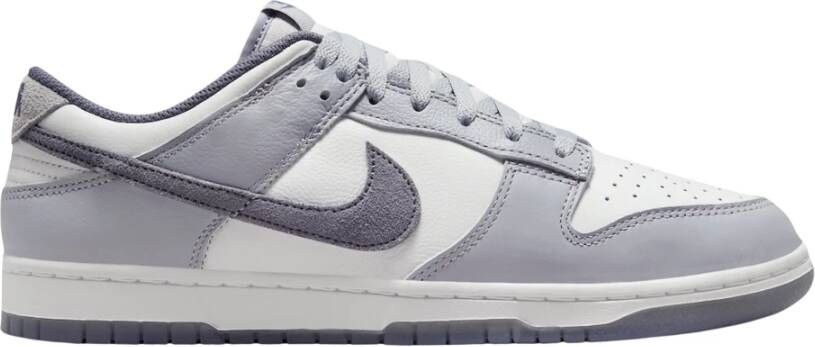 Nike Beperkte Oplage Licht Carbon Sneaker Gray Heren