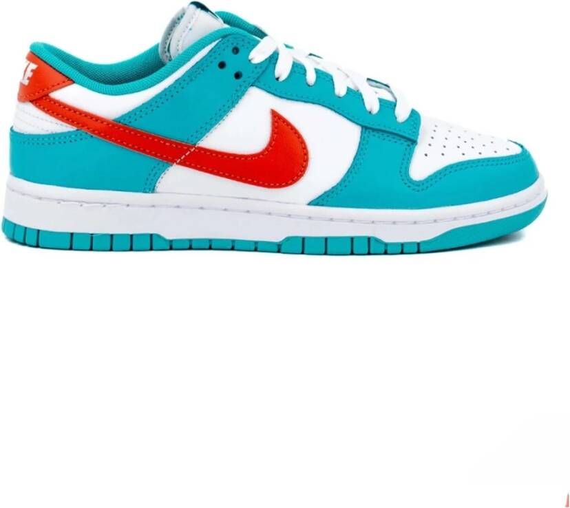 Nike Dunk Low Retro Sneakers Multicolor Heren