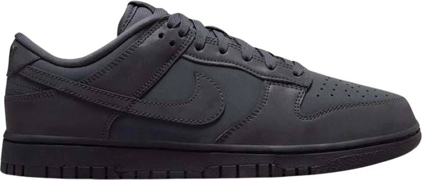 Nike Lage Dunk Dames Sneakers Gray Dames