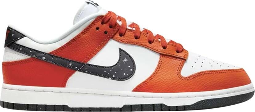 Nike Dunk Low Sneakers Multicolor Heren