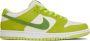 Nike Groene Appel Low Pro SB Sneakers Green Dames - Thumbnail 1