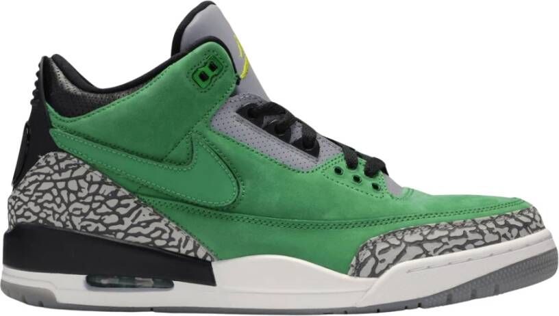 Nike Limited Edition Air Jordan 3 Retro Green Heren