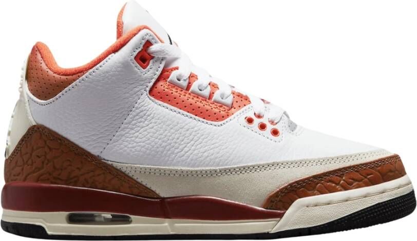 Nike Limited Edition Air Jordan 3 Retro Multicolor Heren