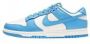 Nike Dunk Low Wmns Coast Sneakers Nike Blauw Dames - Thumbnail 5