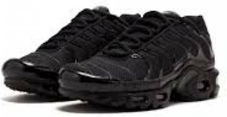 Nike Air Max Plus Sneakers Zwart Heren