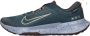 Nike Juniper Trail 2 GORE-TEX waterdichte trailrunningschoenen voor heren Groen - Thumbnail 1