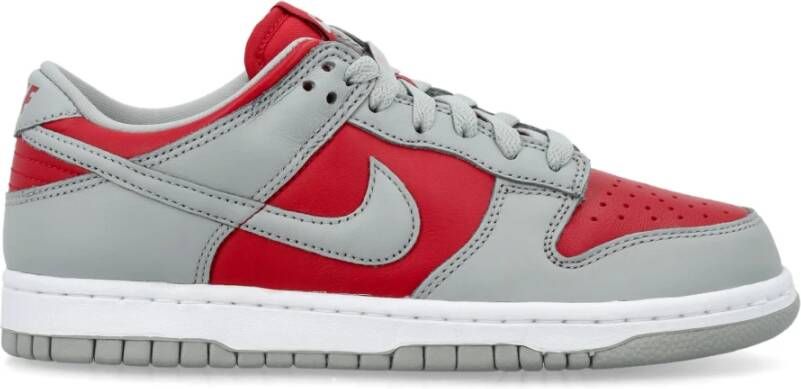 Nike Varsity Red Dunk Low Sneakers Multicolor Heren