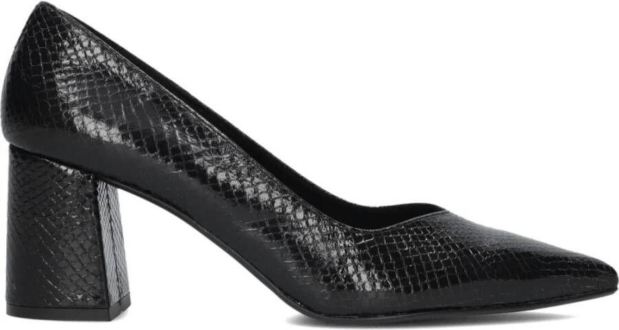 Notre-v Elegante 2333C Pumps Black Dames