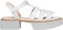 Paloma Barceló Elegante Grigio Sandalen Ss23 White Dames - Thumbnail 1