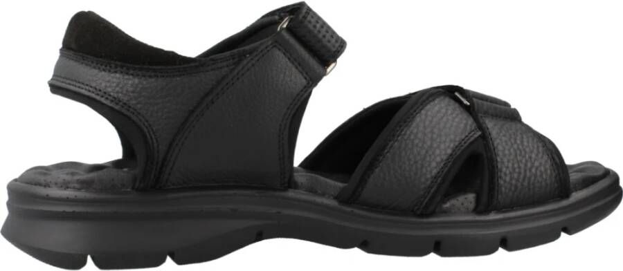 Panama Jack Platte Sandalen met Bandjes Black Heren