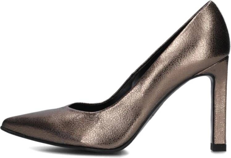 Peter Kaiser Gouden Leren Pumps met Puntneus Gray Dames