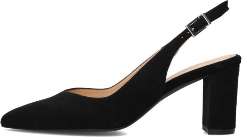 Peter Kaiser Zwarte Elegante Nexi Sue Pumps Black Dames