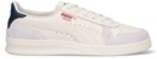 Puma Frosted Ivory Vapor Grey Indoor Beige Heren