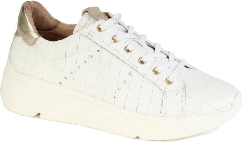 Roberto d'Angelo schoenen sneakers Wit White Dames