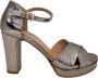 Roberto d'Angelo Zilveren Tokyo Hoge Hak Pumps Gray Dames - Thumbnail 1