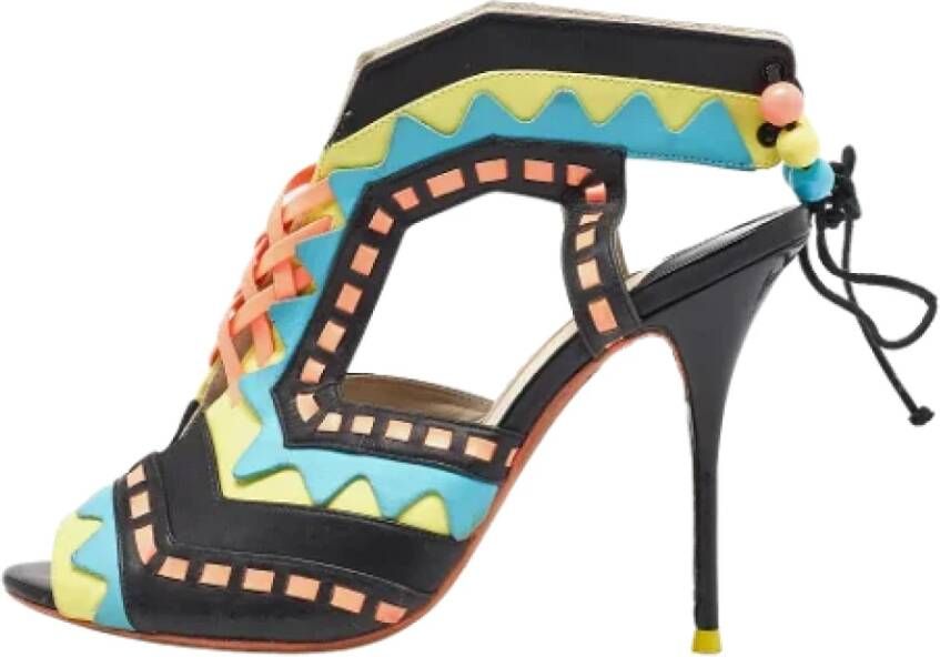 Sophia Webster Pre-owned Leather sandals Multicolor Dames