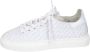 Stokton Leren Dames Sneakers Stijlvolle Schoenen White Dames - Thumbnail 1